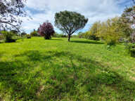 VENDU - Ancienne fermette réaménagée avec grand garage sur terrain de 4398 m² — photo 2