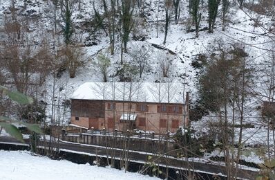 vente maison 110 000 € à proximité de La Croix-Aux-Mines (88520)