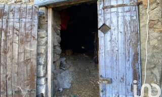 Photo N° 4