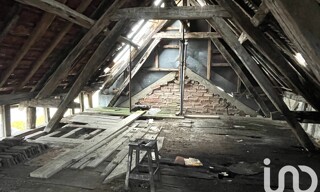 Photo N° 6