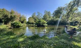 Maison 6 Pièces 155 m² à vendre à Clohars-Fouesnant (29950)