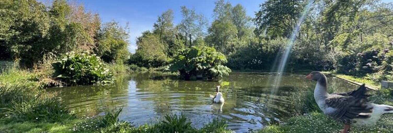 Maison 6 Pièces 155 m² à vendre à Clohars-Fouesnant (29950)