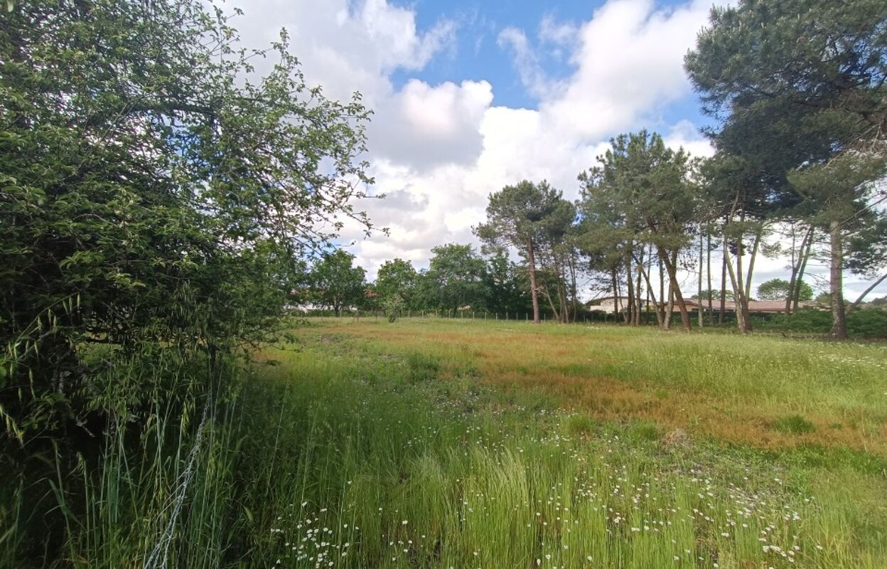 terrain  pièces 610 m2 à vendre à Saint-Aubin-de-Médoc (33160)