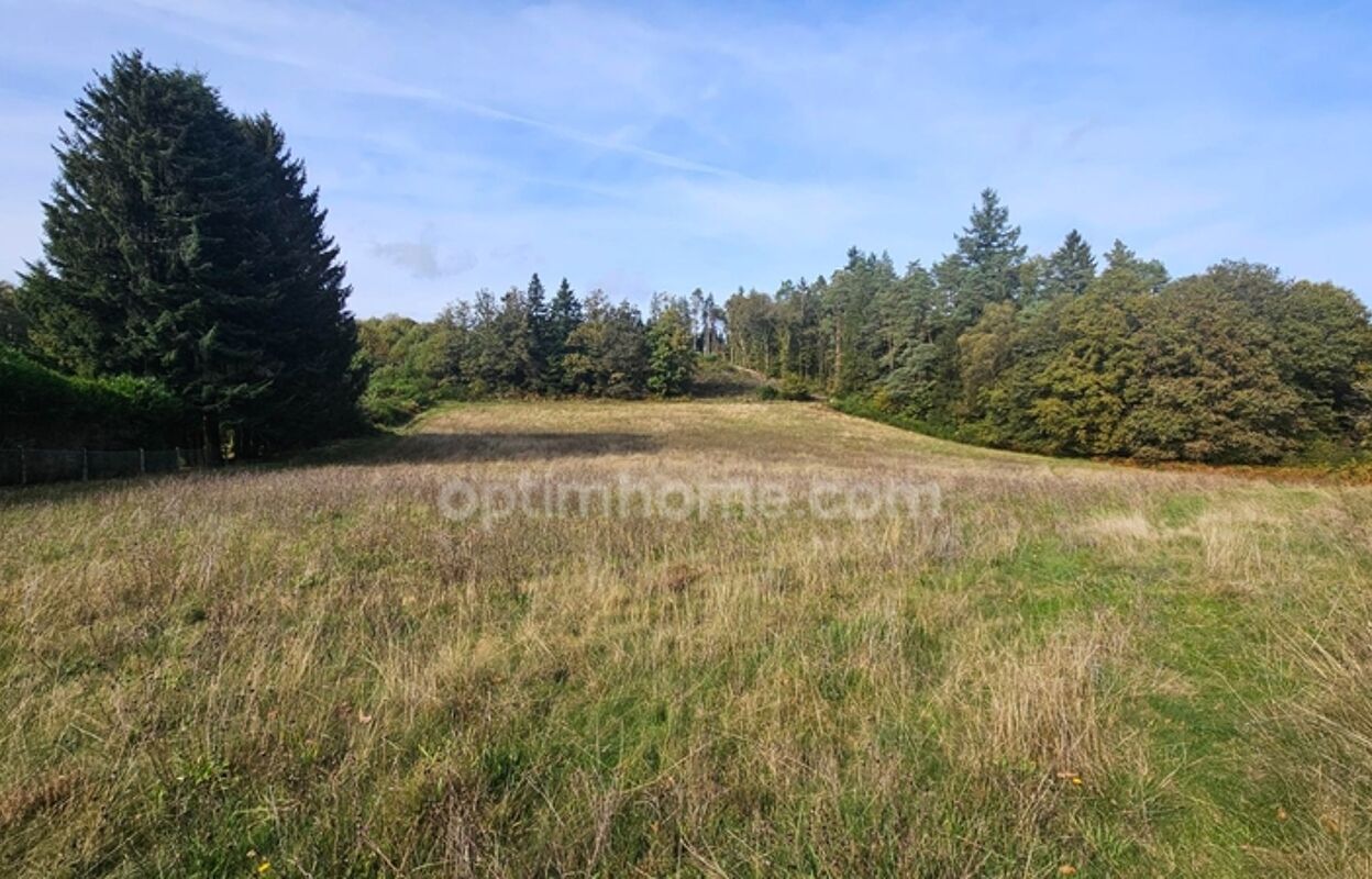 terrain  pièces 10959 m2 à vendre à Saint-Sylvestre (87240)