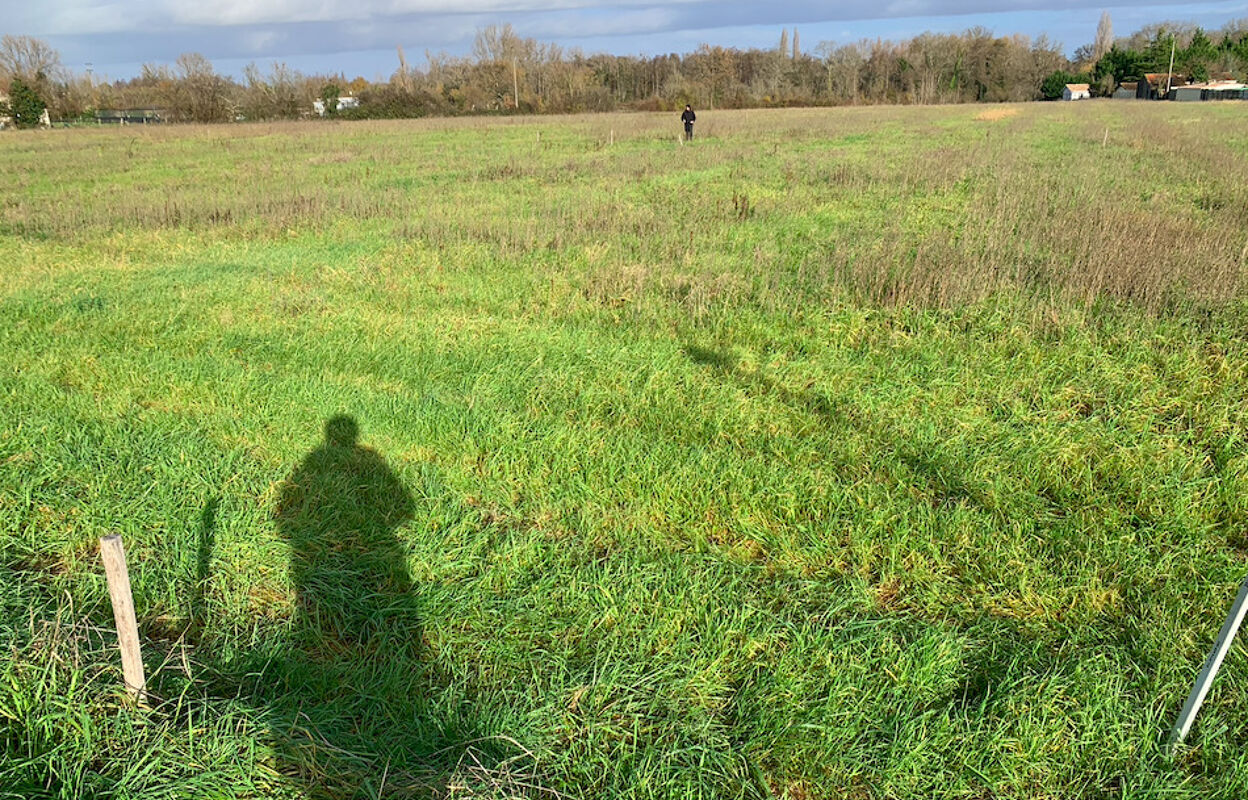 terrain 700 m2 à construire à Saint-Christoly-de-Blaye (33920)