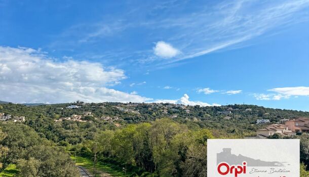 Appartement 2 pièces  à vendre Porticcio 20166