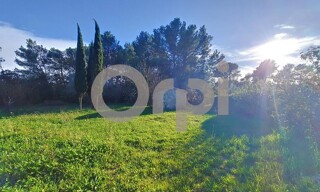 Photo N° 15