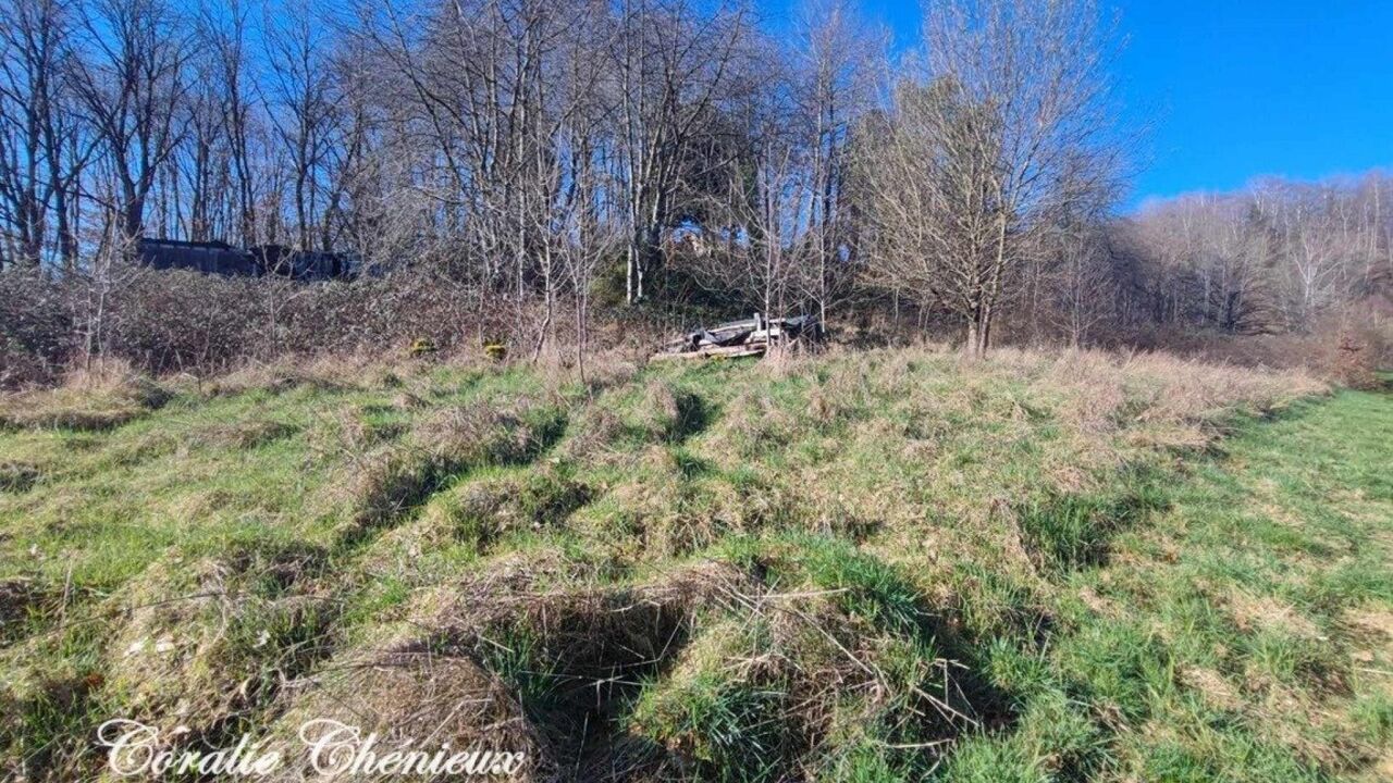 terrain  pièces 1728 m2 à vendre à Ydes (15210)