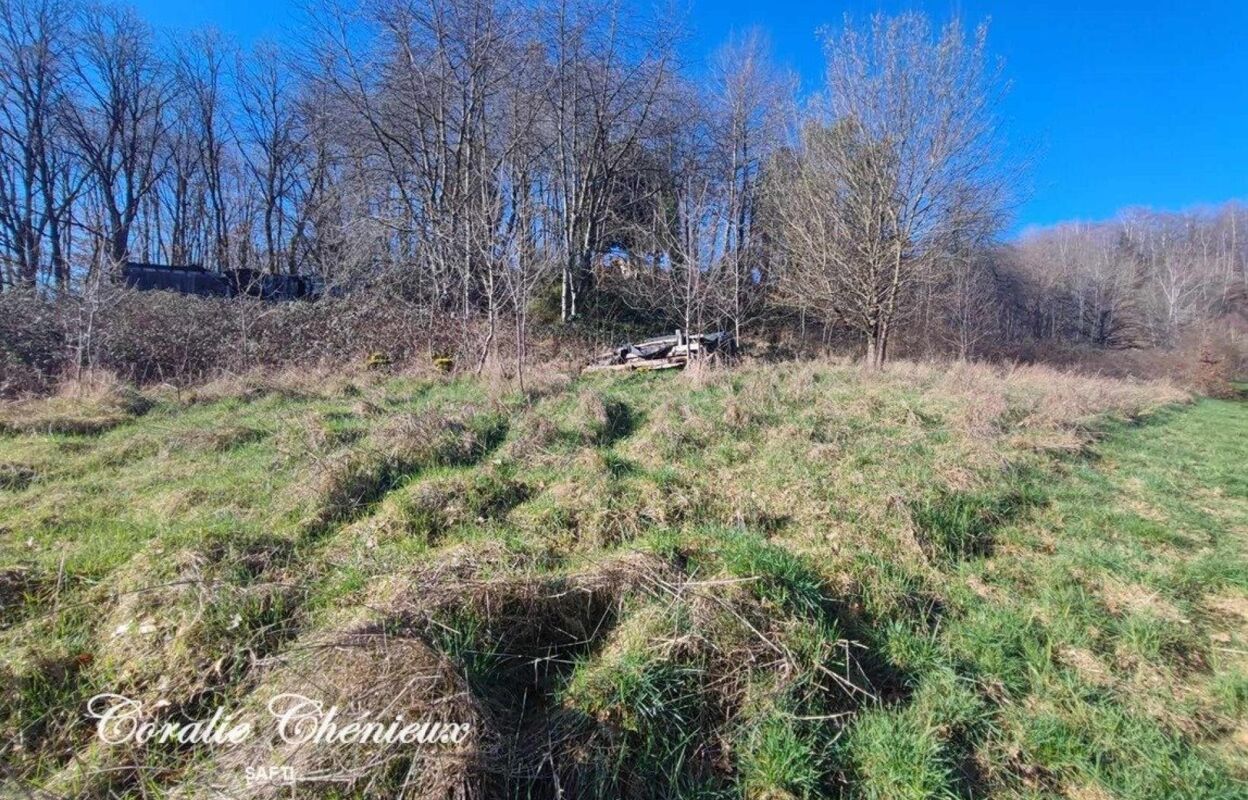 terrain  pièces 1728 m2 à vendre à Ydes (15210)