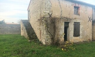 Photo N° 5
