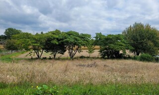 Terrain  830 m² à vendre à Linars (16730)