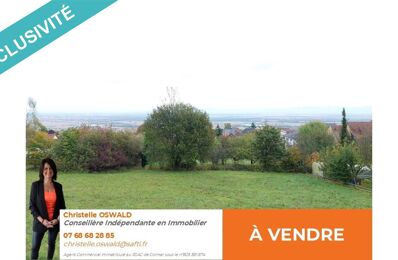 vente terrain 923 620 € à proximité de Orbey (68370)