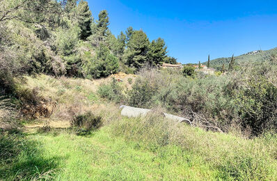 terrain  pièces 10000 m2 à vendre à Bandol (83150)