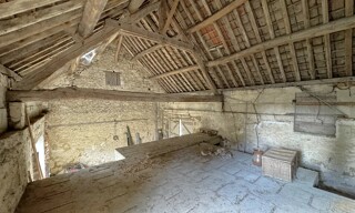 Photo N° 6