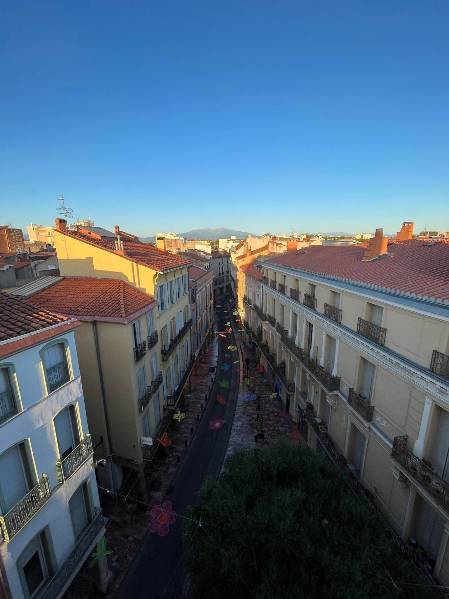 Appartement 3 pièces  à louer Perpignan 66000