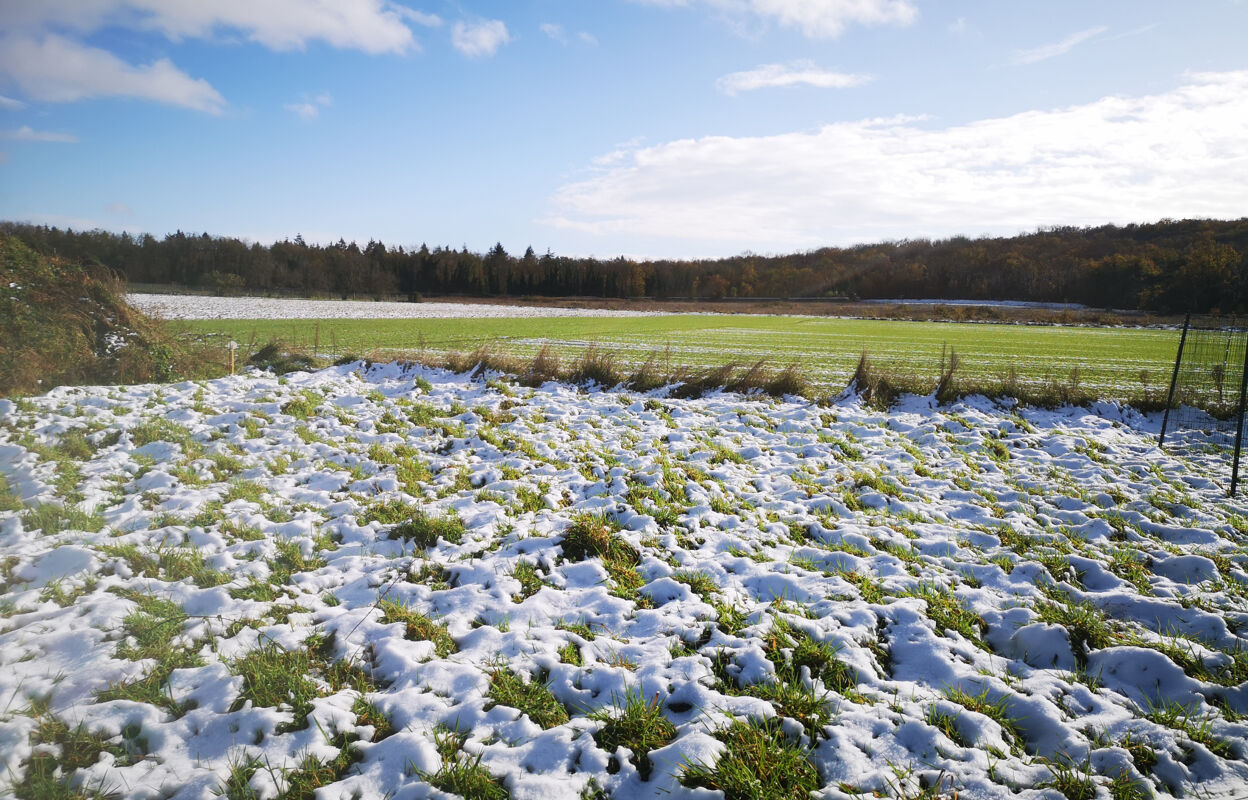 terrain  pièces 609 m2 à vendre à Vayres-sur-Essonne (91820)