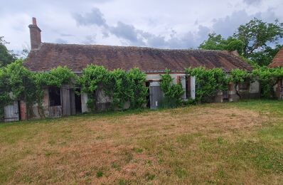 maison 3 pièces 100 m2 à vendre à Sully-sur-Loire (45600)