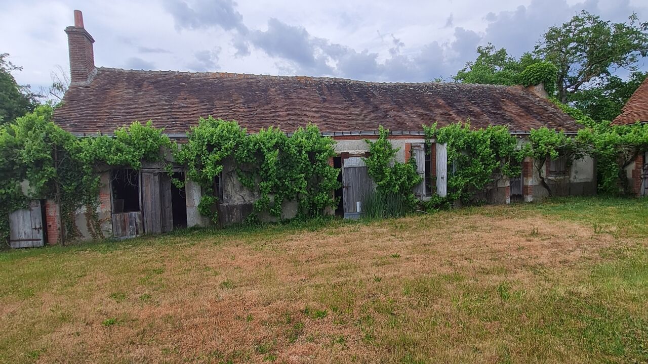 maison 3 pièces 100 m2 à vendre à Sully-sur-Loire (45600)