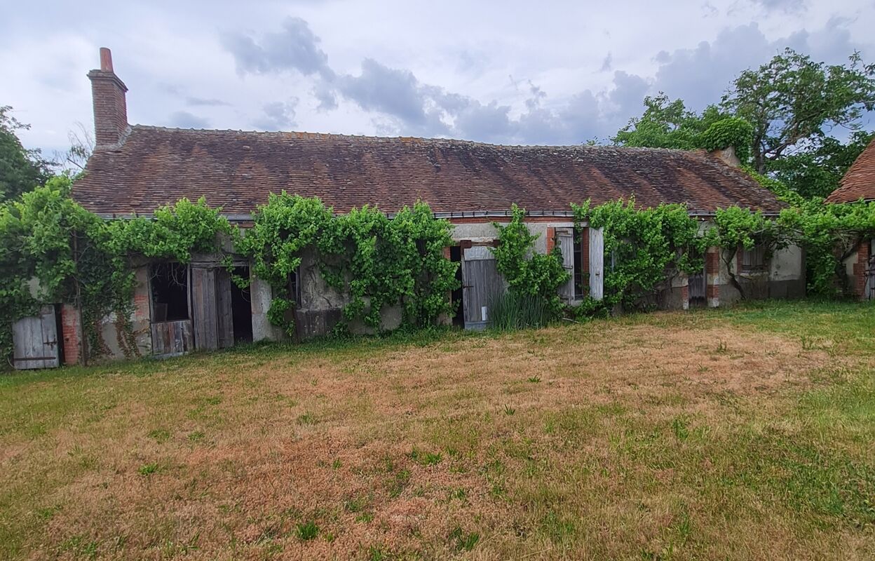 maison 3 pièces 100 m2 à vendre à Sully-sur-Loire (45600)