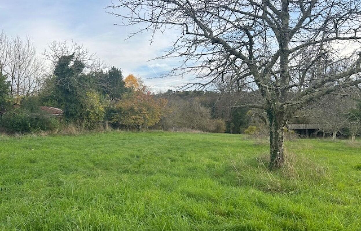 terrain  pièces 1155 m2 à vendre à Pompignac (33370)