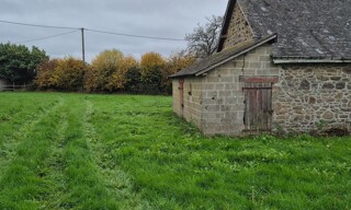 Photo N° 4