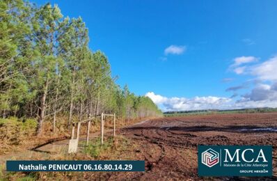 terrain  pièces 1000 m2 à vendre à Linxe (40260)