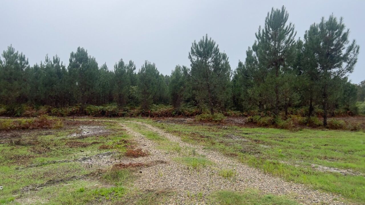 terrain  pièces 800 m2 à vendre à Landiras (33720)