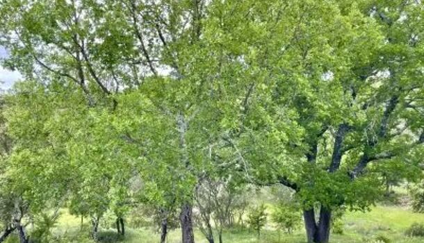 Villa / Maison 6 pièces  à vendre Cotignac 83570