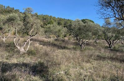 terrain 1800 m2 à construire à Brignoles (83170)