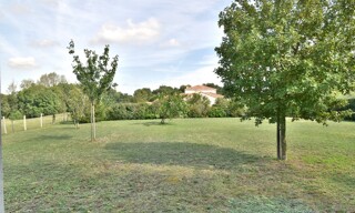 Photo N° 6