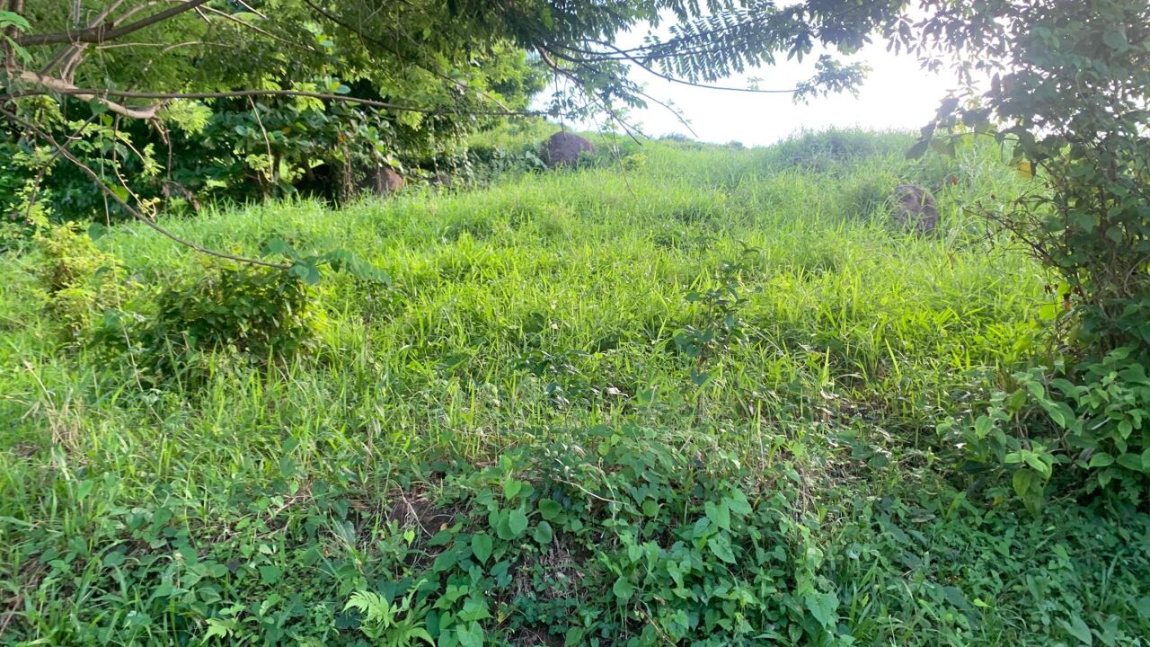 terrain  pièces 480 m2 à vendre à Le Lamentin (97232)