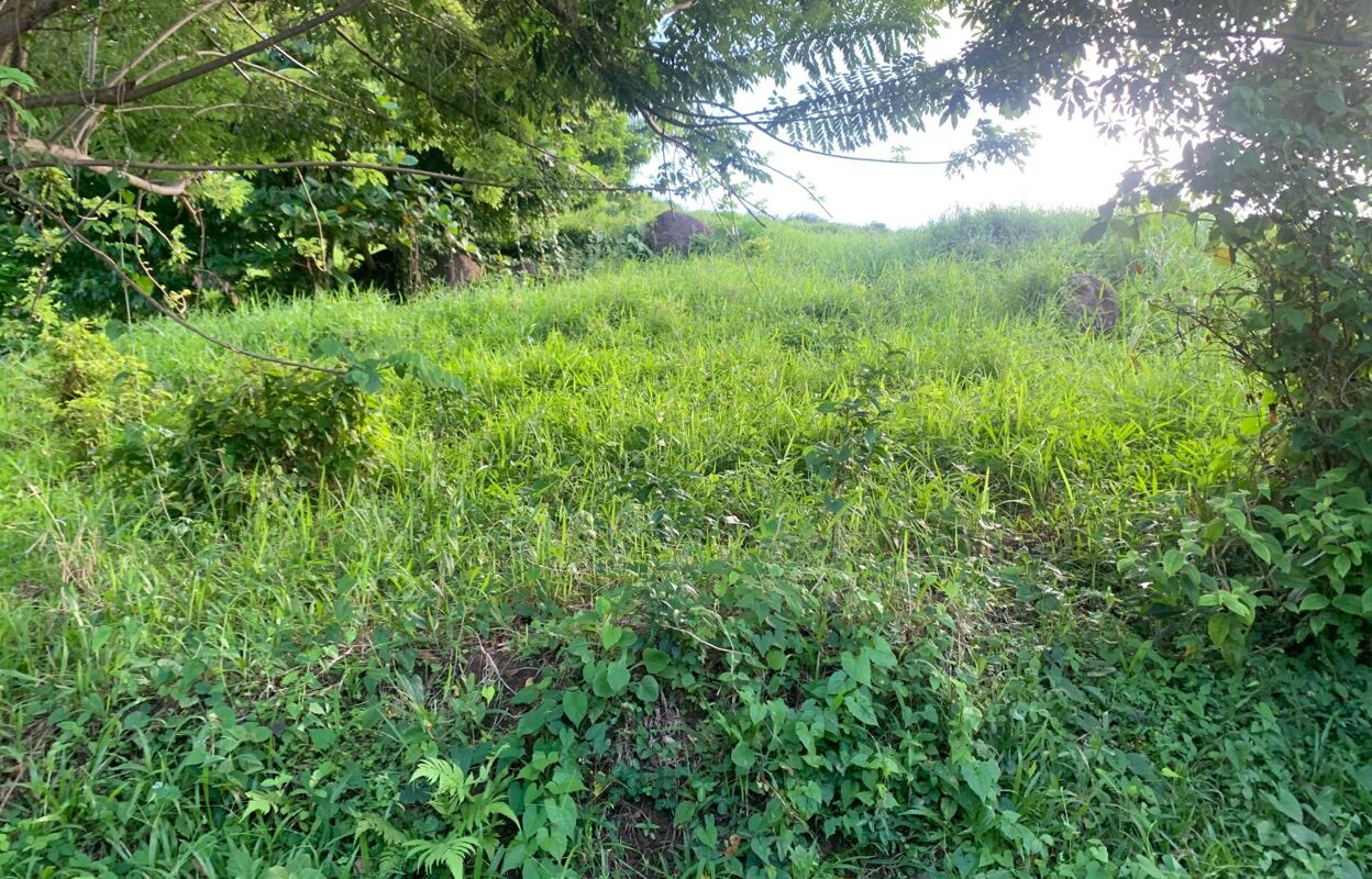 terrain  pièces 480 m2 à vendre à Le Lamentin (97232)