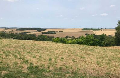 terrain  pièces 1445 m2 à vendre à Molleville (11410)