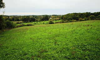 Photo N° 3