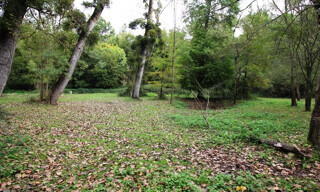 Photo N° 5