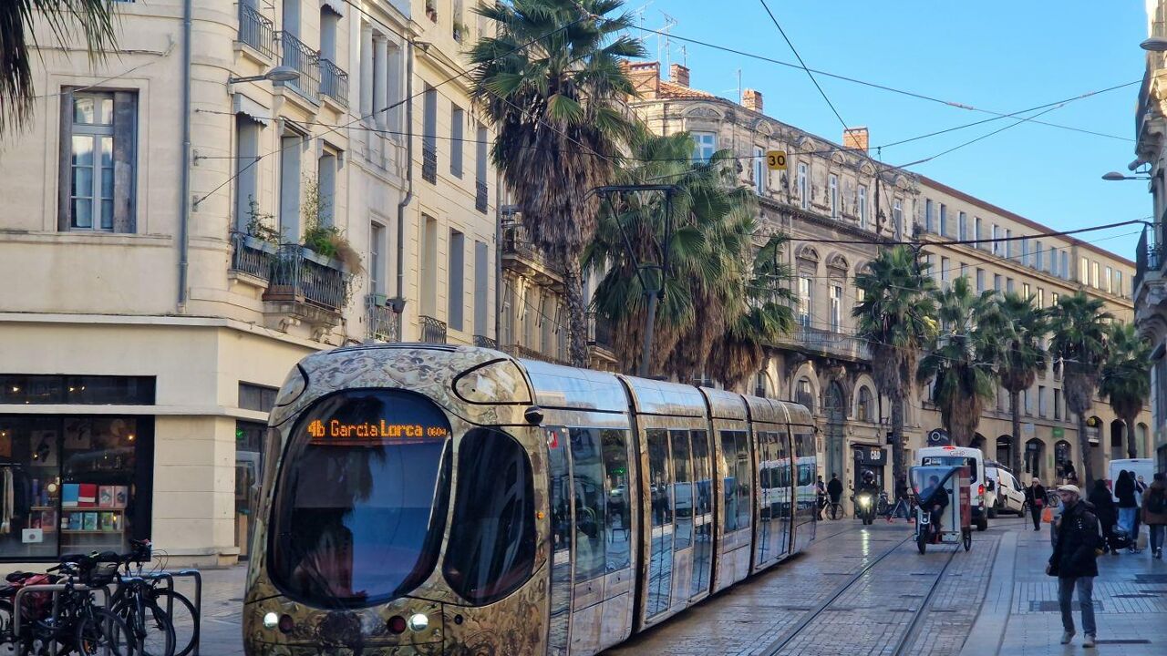 commerce 5 pièces 225 m2 à vendre à Montpellier (34000)