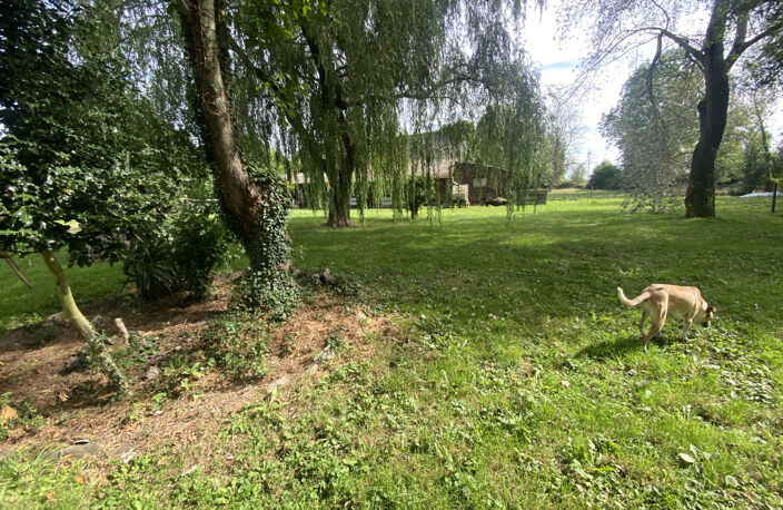 Propriété sur 22 747m2 — photo 5