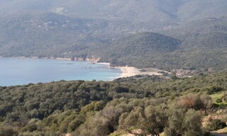 Photo N° 3