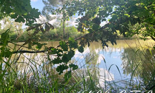 Maison 16 Pièces 467 m² à vendre à Margueron (33220)