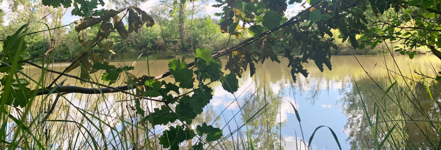 Maison 16 Pièces 467 m² à vendre à Margueron (33220)