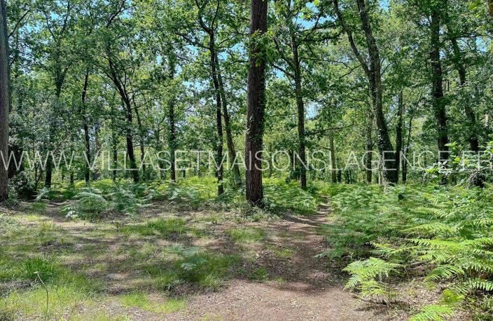 CHALET DANS LES BOIS - 4 PIECES - 54,5m2 - LÉGE — photo 3