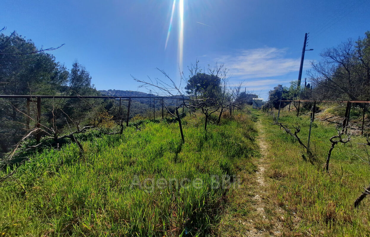 terrain  pièces 7331 m2 à vendre à Nice (06200)