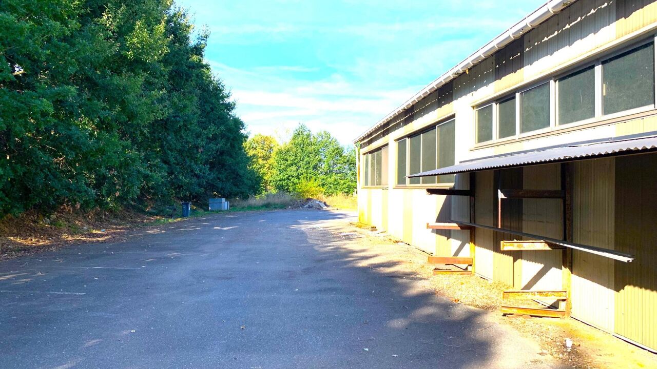 commerce 15 pièces 1500 m2 à vendre à Aixe-sur-Vienne (87700)