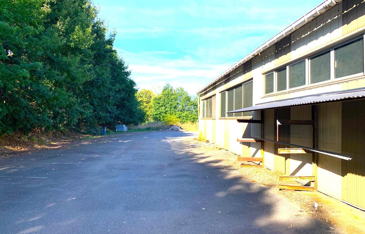 commerce 15 pièces 1500 m2 à vendre à Aixe-sur-Vienne (87700)