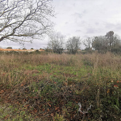 Terrain  49800 €