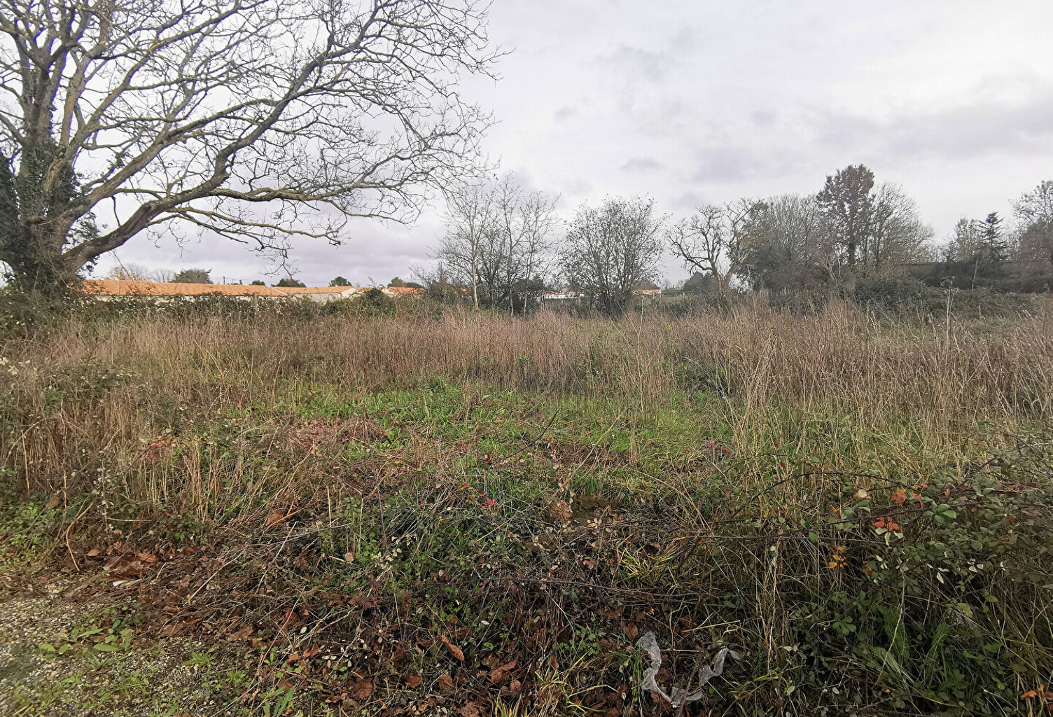 Niort Terrain viabilisé bel emplacement — photo 1