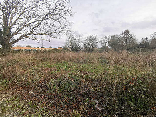 Niort Terrain viabilisé bel emplacement — photo du bien
