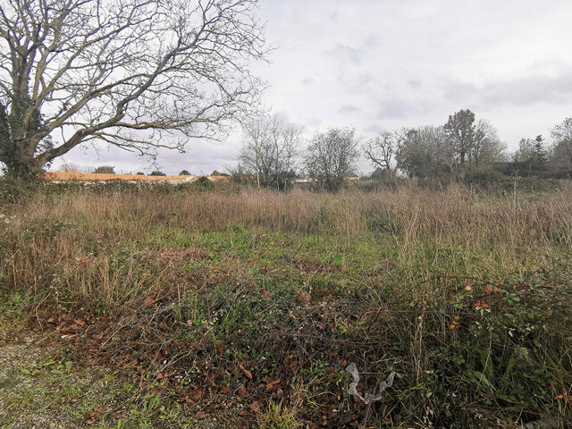 Terrain proposé à Niort