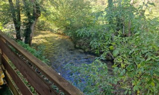 Photo N° 3