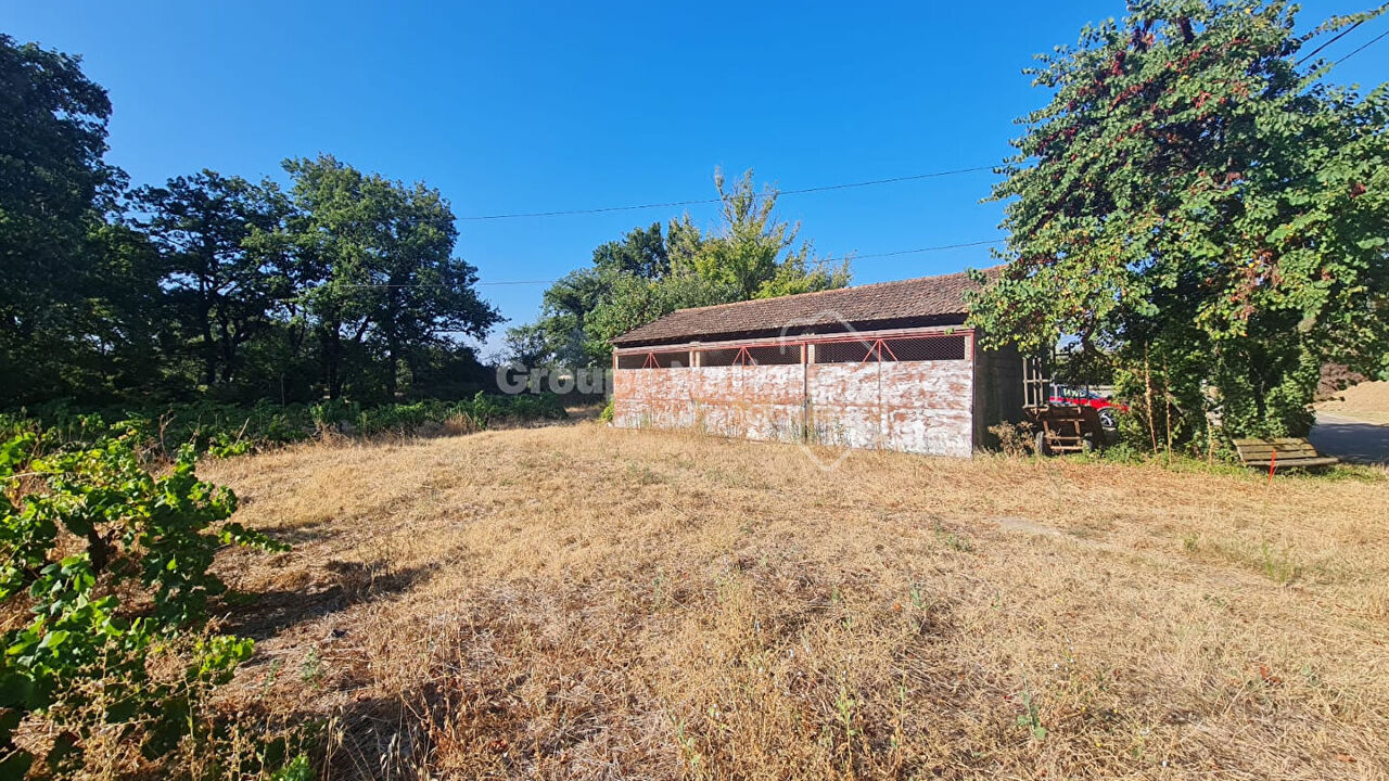 terrain  pièces 591 m2 à vendre à Sainte-Cécile-les-Vignes (84290)